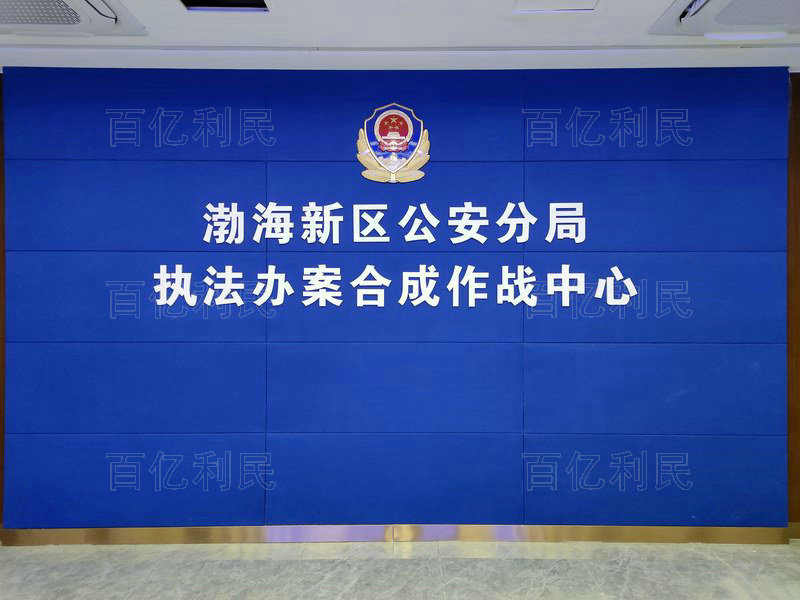 重點(diǎn)工程合作案例